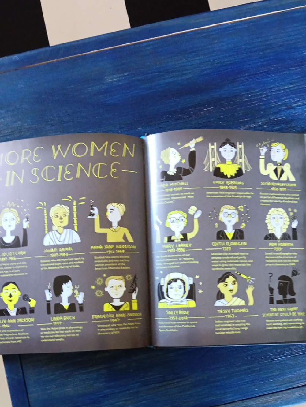 Women in Science - Illustrated Hardcover Book (Gray with Teal & Yellow Accents) - Picture 4 of 5